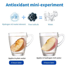 Portable Hydrogen-Rich Water Generator